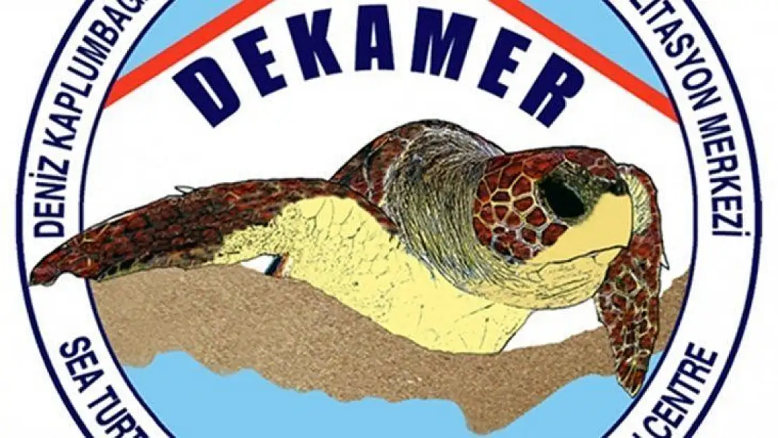 DEKAMER'den Caretta Caretta açıklaması