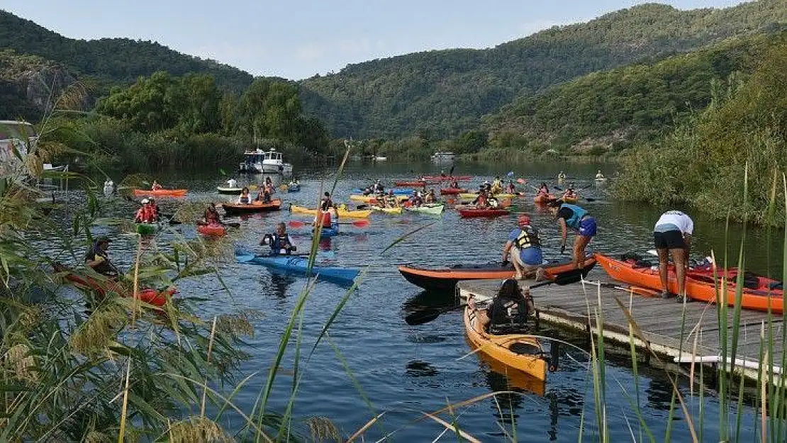 Deniz kaplumbağalarının 'annesi' için şükran geçişi