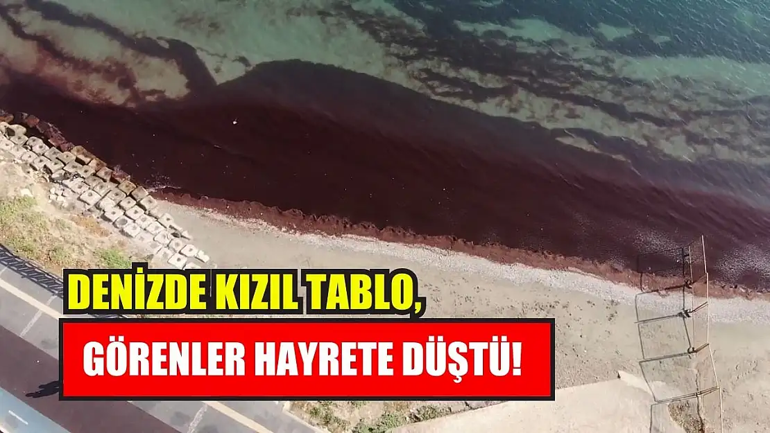 Denizde kızıl tablo, görenler hayrete düştü!