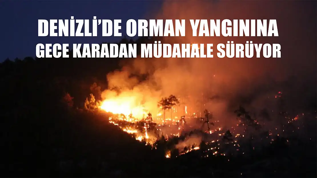 Denizli'de orman yangınına gece karadan müdahale sürüyor