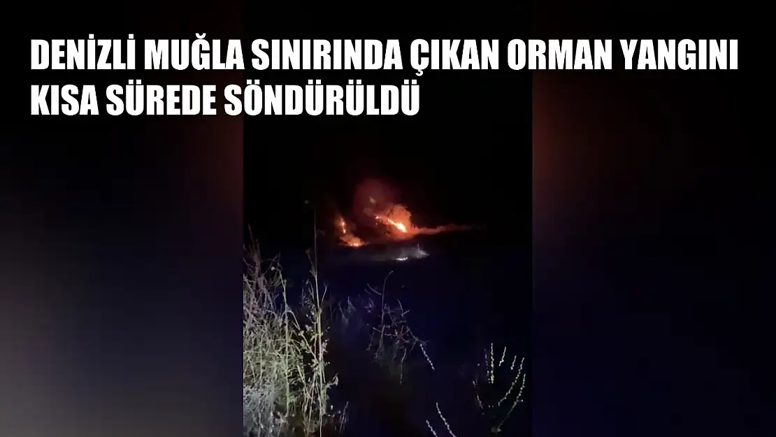 Denizli Muğla sınırında çıkan orman yangını kısa sürede söndürüldü