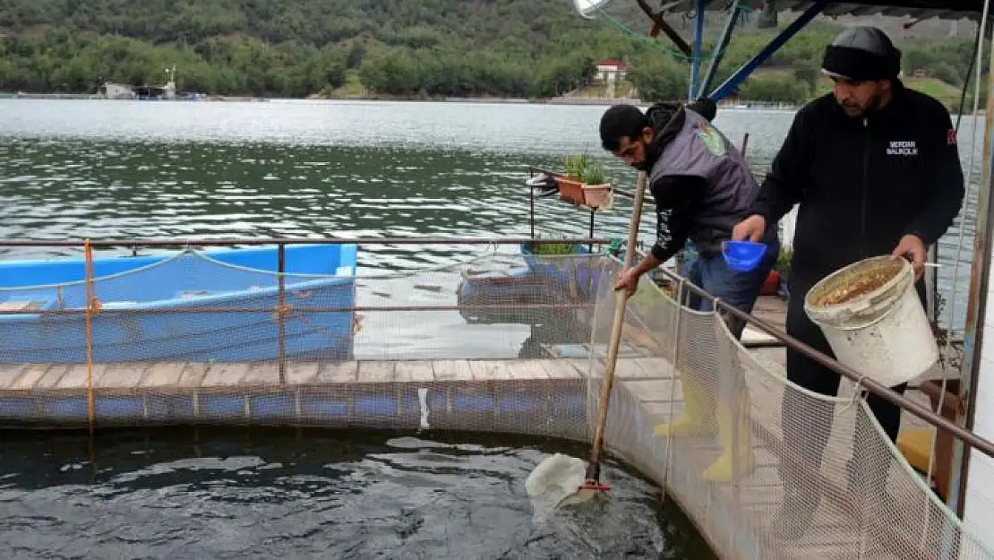 DEPREM BALIK İHRACATINI DA VURDU