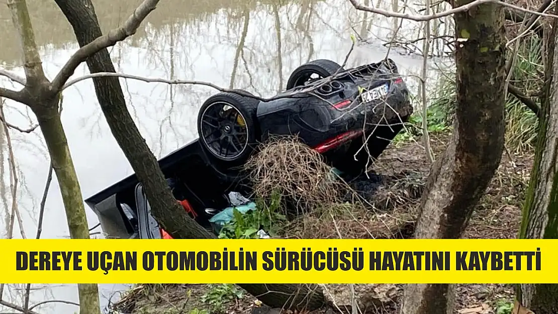 Dereye uçan otomobilin sürücüsü hayatını kaybetti