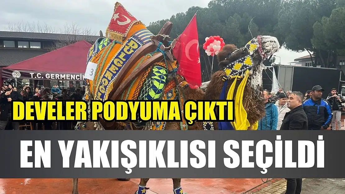 Develer podyuma çıktı, en yakışıklısı seçildi