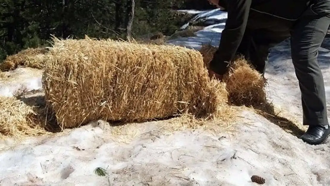 DKMP'den yaban hayatına yem desteği