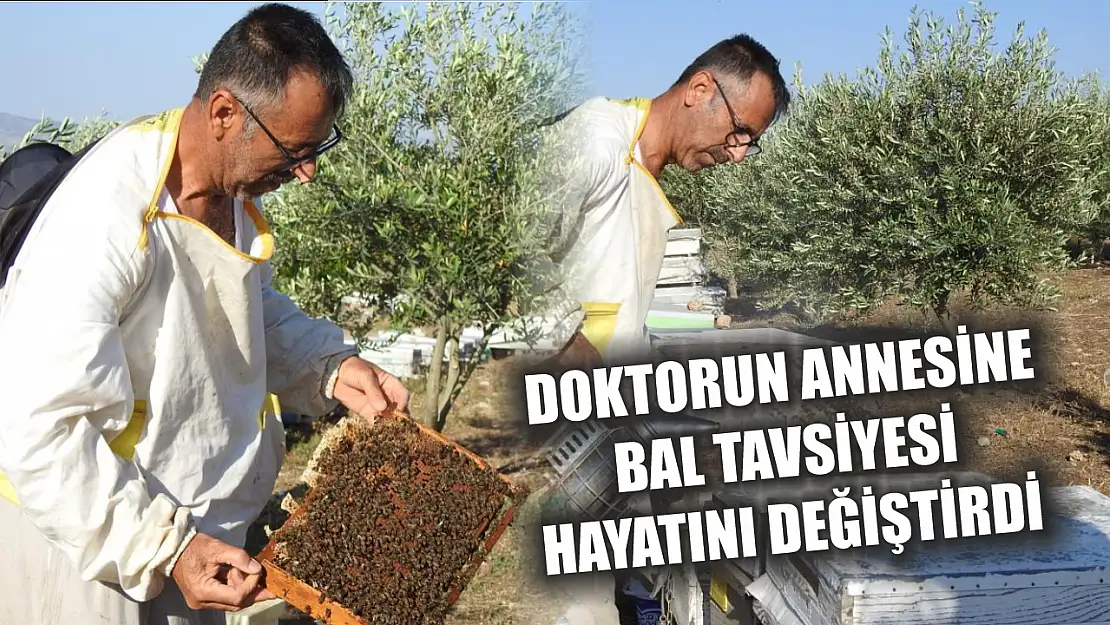 Doktorun annesine bal tavsiyesi hayatını değiştirdi