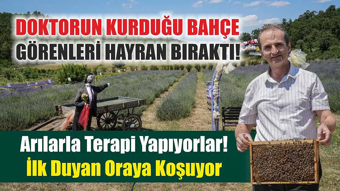Doktorun kurduğu bahçe görenleri hayran bıraktı!