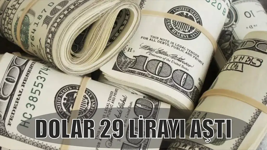 Dolar 29 lirayı aştı