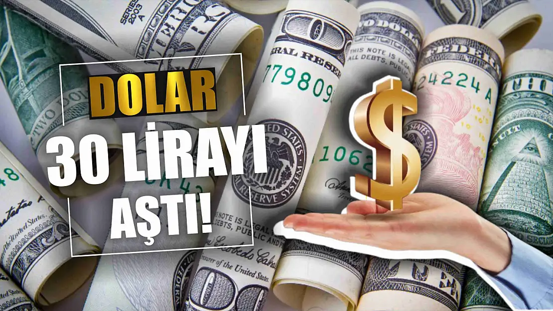 Dolar 30 lirayı aştı!