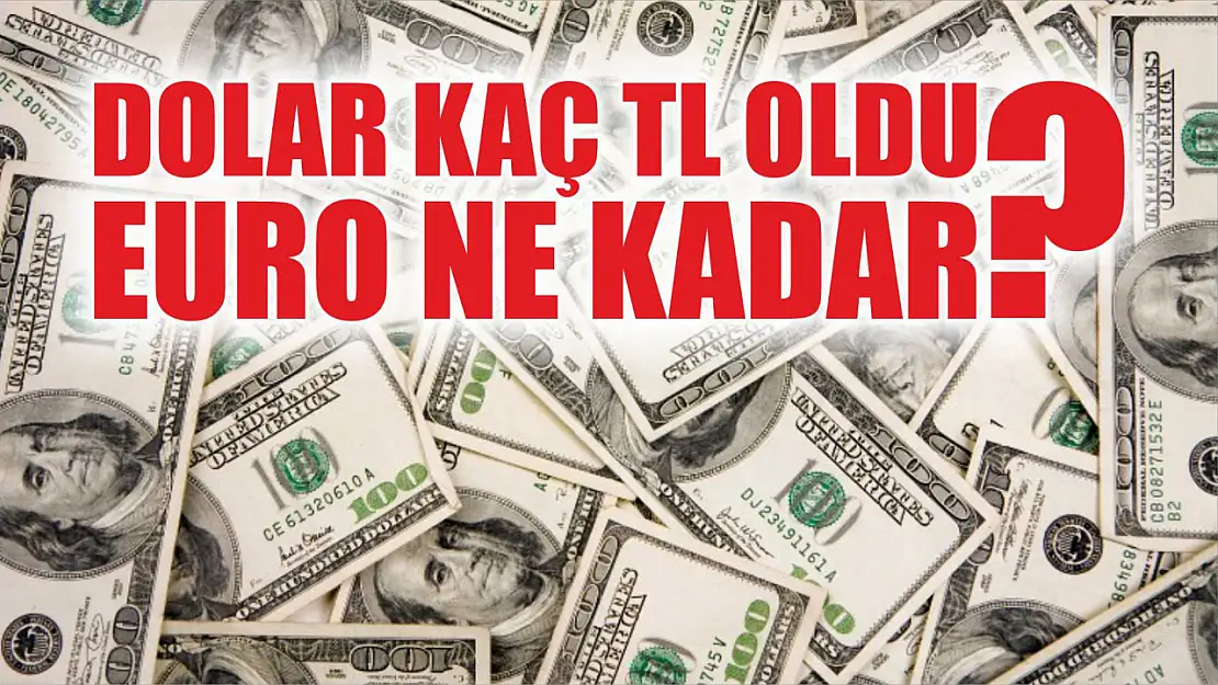 Dolar kaç TL oldu, Euro ne kadar? 