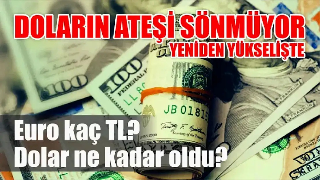 Dolar/TL güne değer kazanarak başladı Dolar kaç TL?