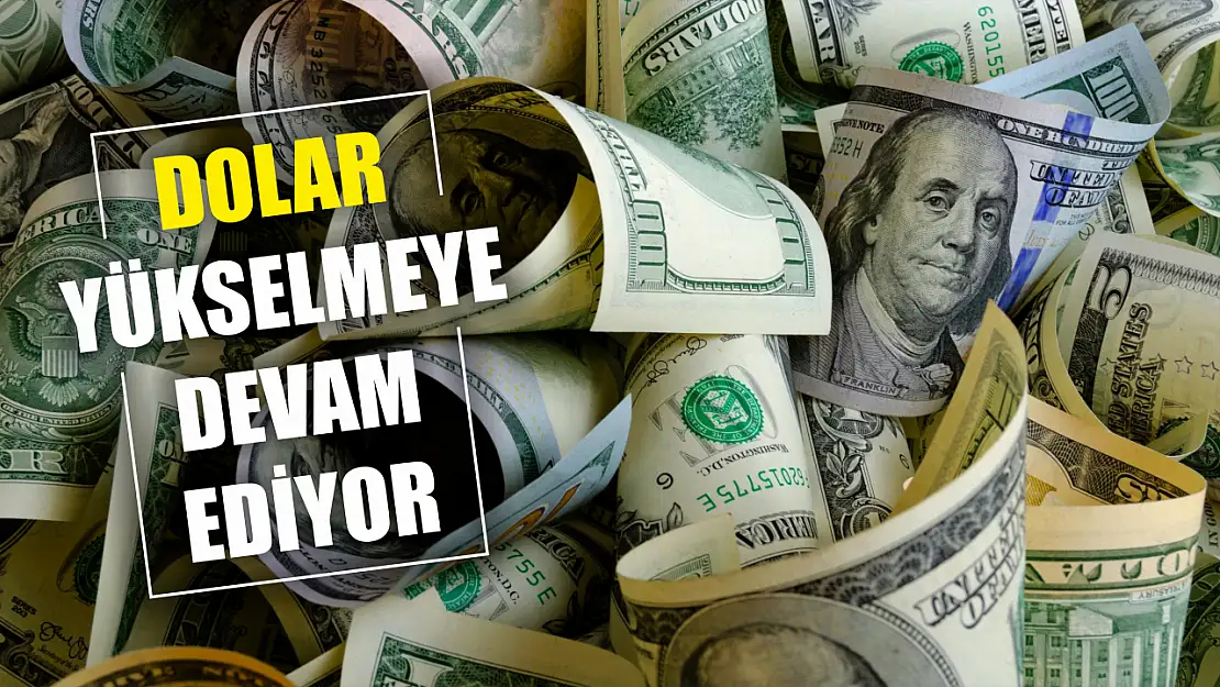 Dolar yükselmeye devam ediyor