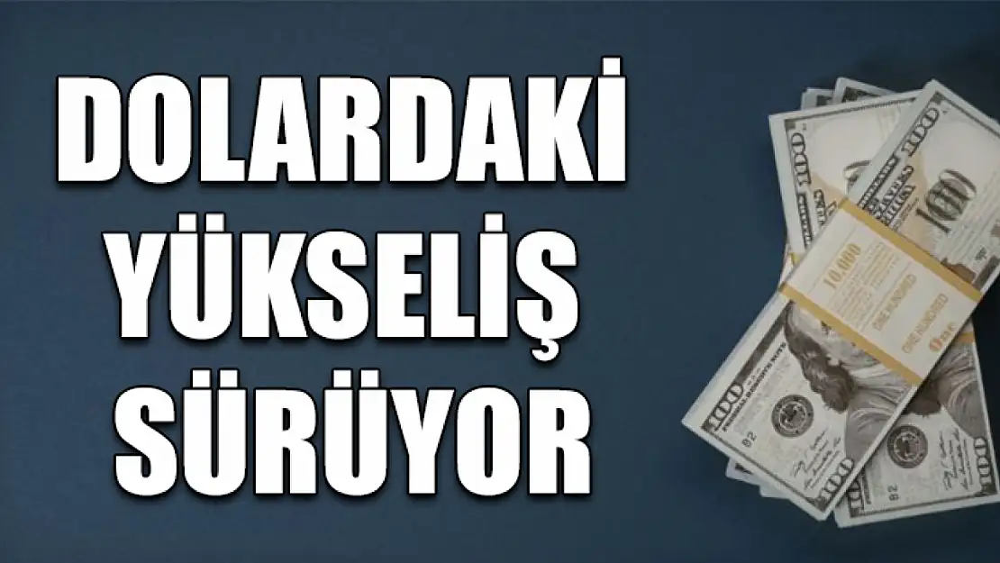 Dolardaki yükseliş sürüyor