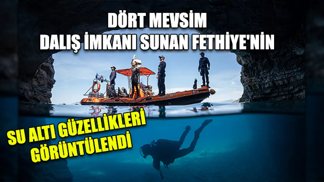 Dört mevsim dalış imkanı sunan Fethiye'nin su altı güzellikleri görüntülendi