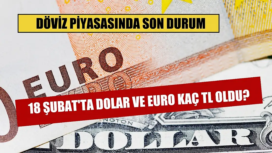 Döviz piyasasında son durum: 18 Şubat'ta Dolar ve Euro kaç TL oldu?