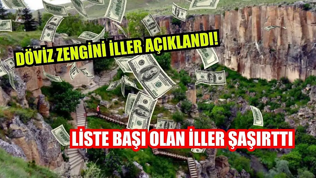 Döviz zengini iller açıklandı!  Liste başı olan iller şaşırttı