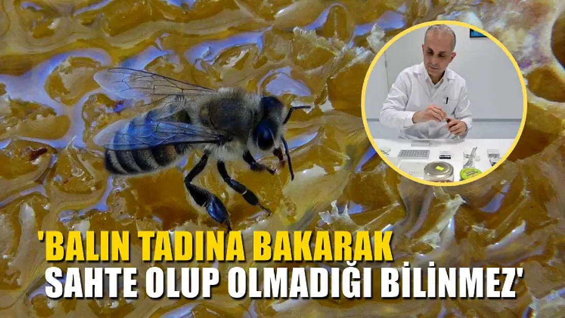 Dr. İbrahim Kıvrak, 'Balın tadına bakarak sahte olup olmadığı bilinmez'