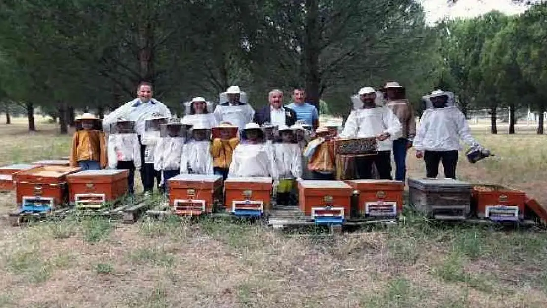 Dünya çam balının merkezinde 'Arı Günü' etkinliklerle kutlandı