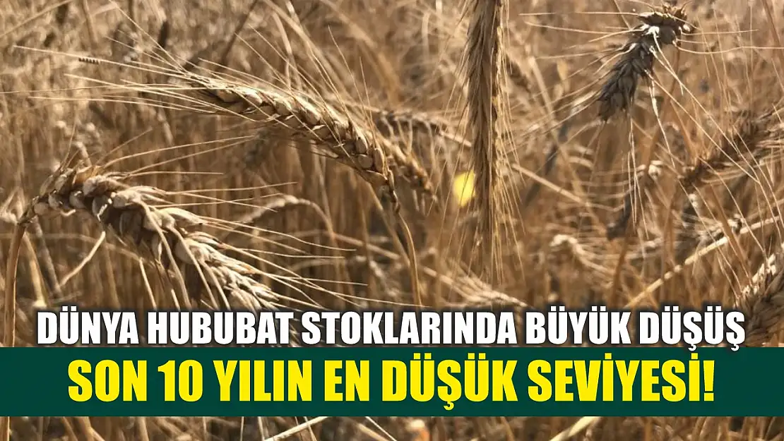 Dünya Hububat Stoklarında Büyük Düşüş: Son 10 Yılın En Düşük Seviyesi!