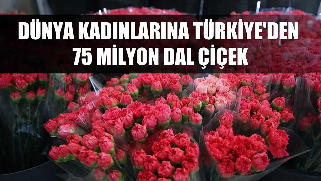 Dünya kadınlarına Türkiye'den 75 milyon dal çiçek