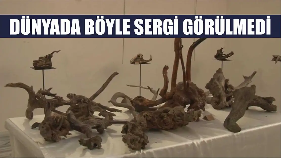 Dünyada böyle sergi görülmedi