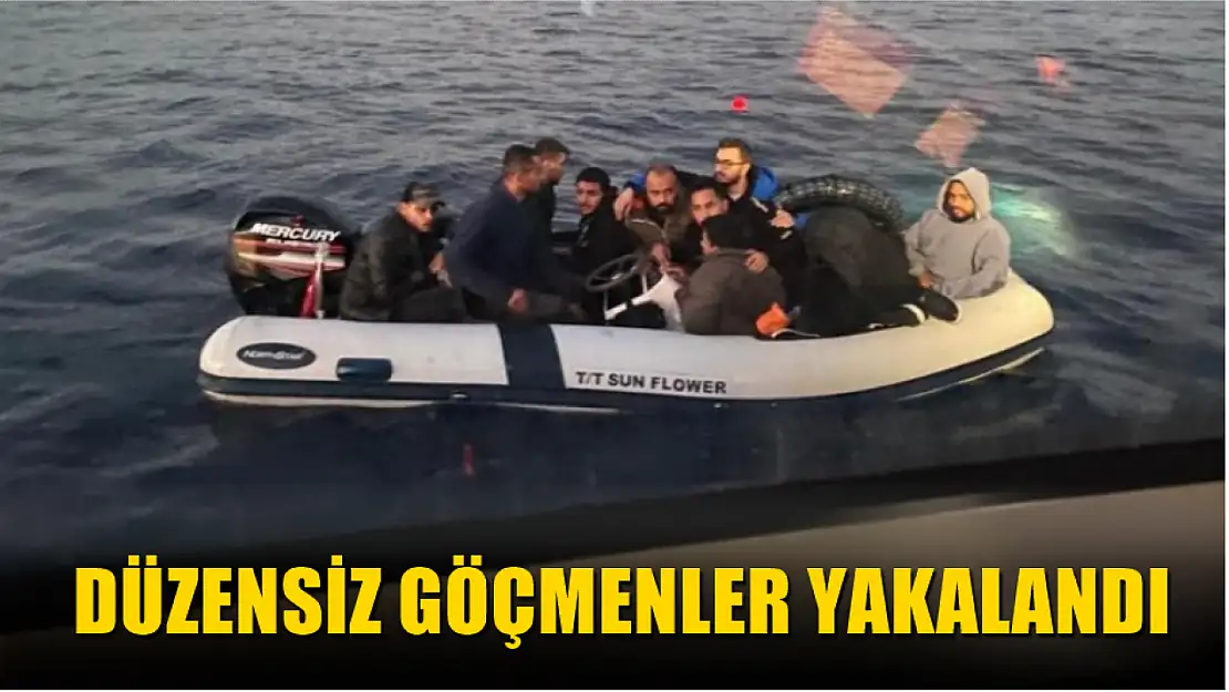 Düzensiz göçmenler yakalandı