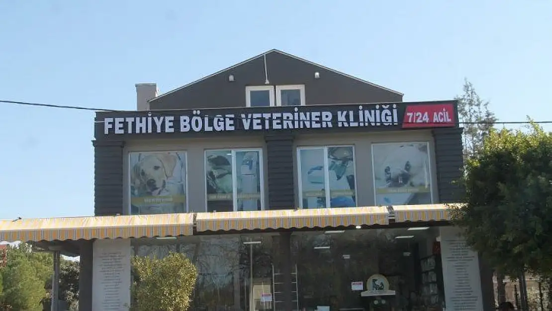 Ege Ve Akdeniz Bölgelerinde İlk Ve Tek