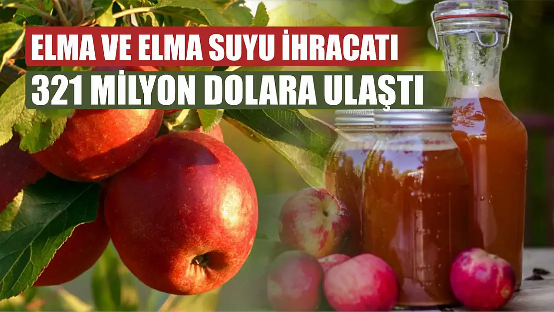 Elma ve elma suyu ihracatı 321 milyon dolara ulaştı