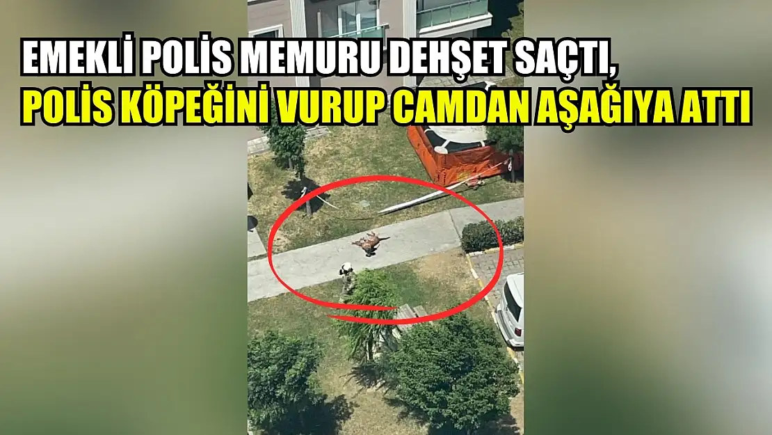 Emekli polis memuru dehşet saçtı, polis köpeğini vurup camdan aşağıya attı