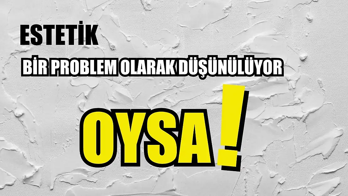 Estetik Bir Problem Olarak Düşünülüyor, Oysa