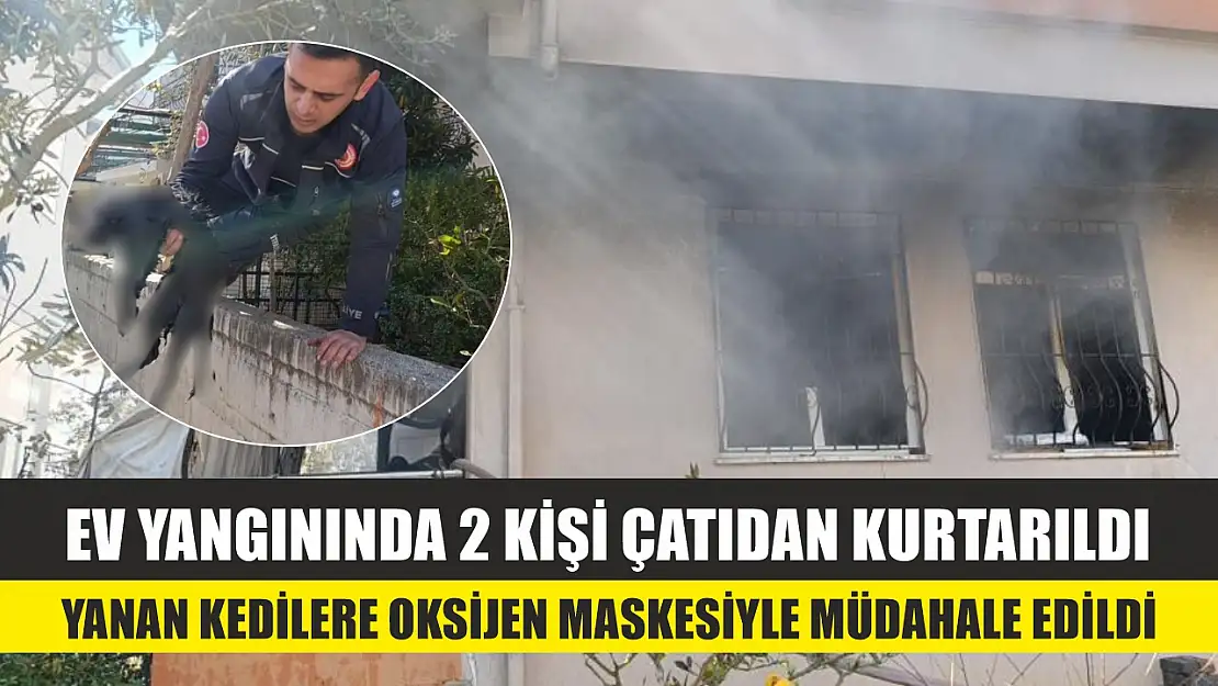 Ev yangınında 2 kişi çatıdan kurtarıldı, yanan kedilere oksijen maskesiyle müdahale edildi