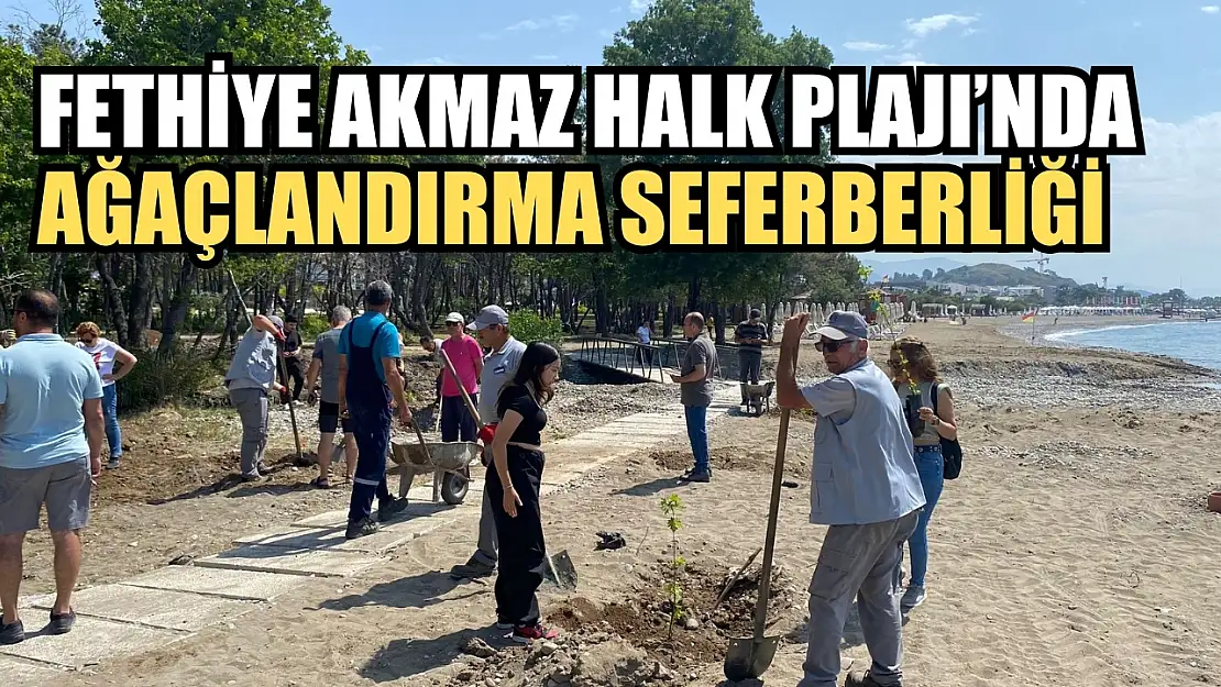 Fethiye Akmaz Halk Plajı'nda Ağaçlandırma Seferberliği