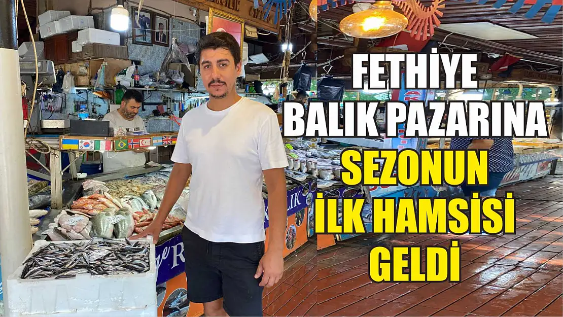 Fethiye Balık Pazarına Sezonun İlk Hamsisi Geldi