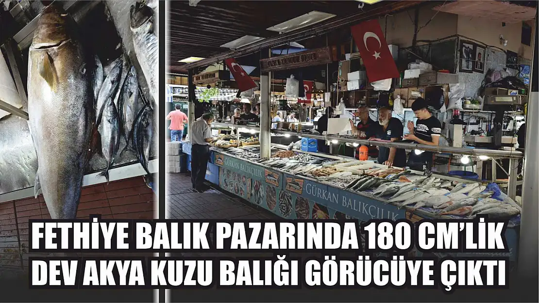 Fethiye Balık Pazarında Dev Akya Kuzu Balığı Görücüye Çıktı