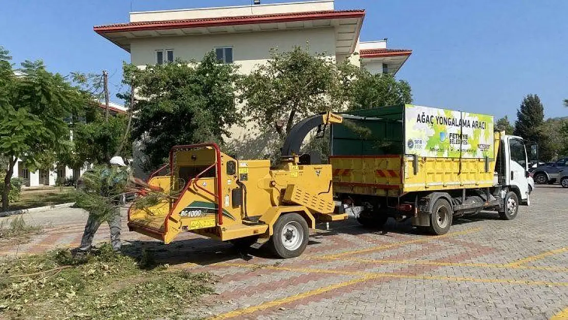 Fethiye Belediyesi'nden Ağaç Yongalama Hizmeti