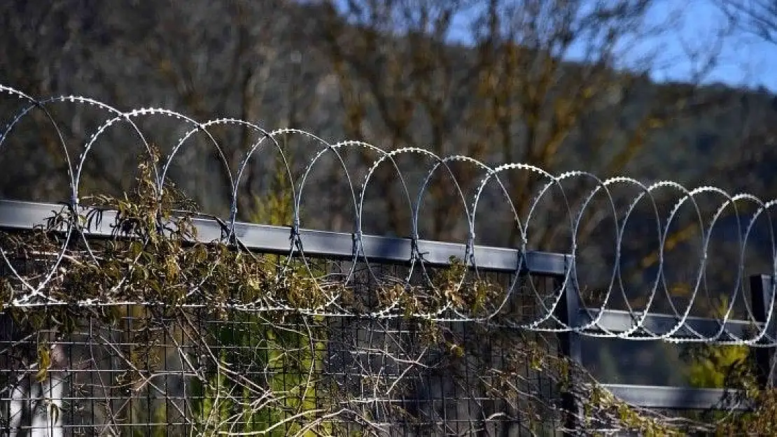 Fethiye Belediyesi'nden hayvanseverleri sevindirecek karar