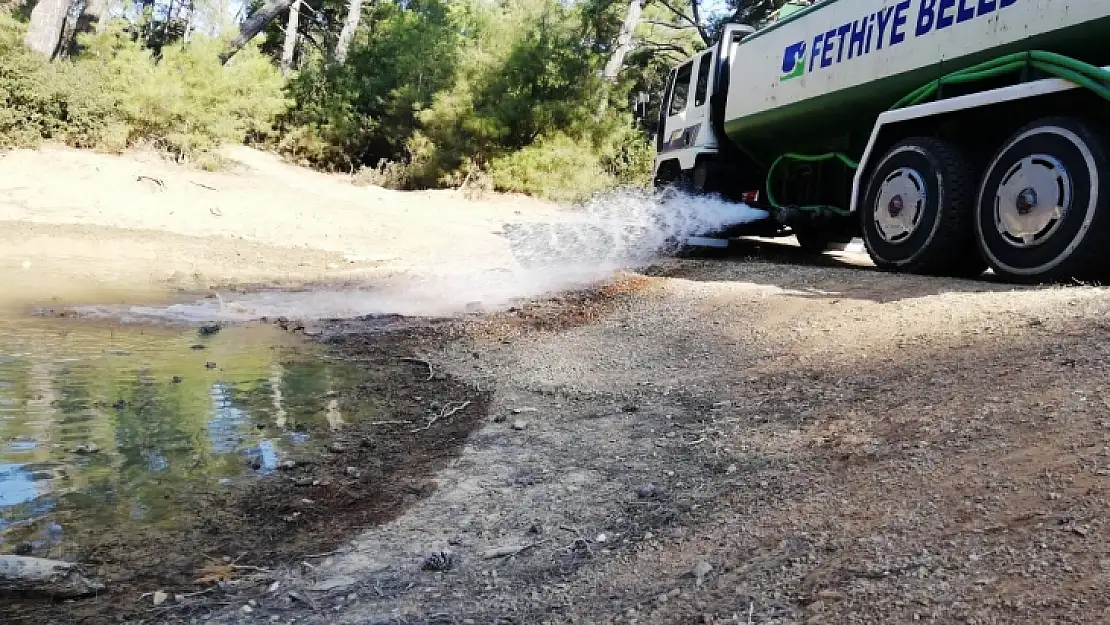 Fethiye Belediyesi'nden Yabani Hayvanlara Su