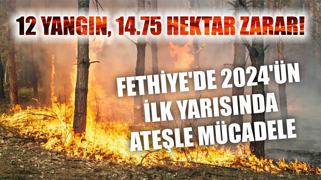 Fethiye'de 2024'ün İlk Yarısında Ateşle Mücadele: 12 Yangın, 14.75 Hektar Zarar!