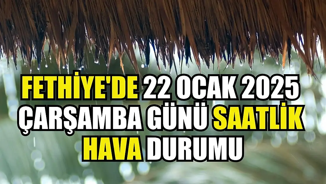 Fethiye'de 22 Ocak 2025 Çarşamba Günü Saatlik Hava Durumu