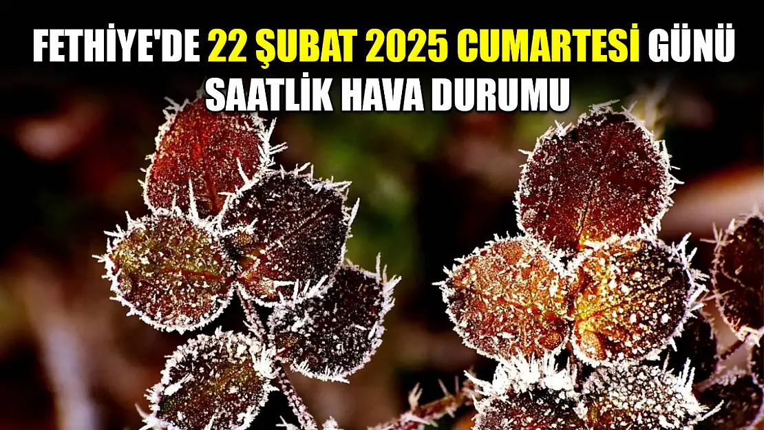 Fethiye'de 22 Şubat 2025 Cumartesi Günü Saatlik Hava Durumu