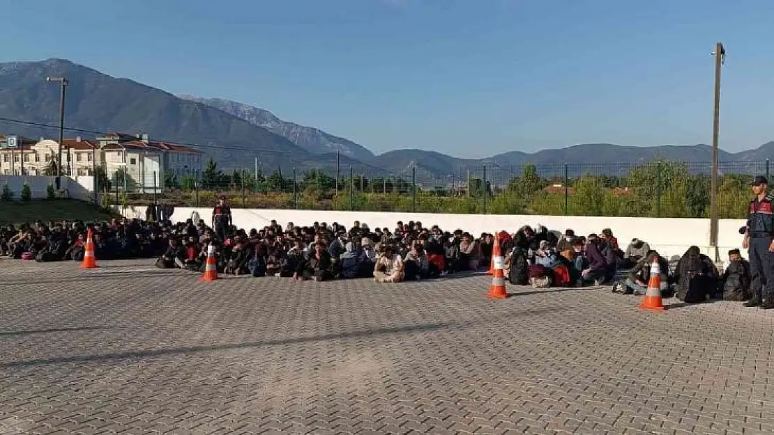 Fethiye'de 240 düzensiz göçmen yakalandı