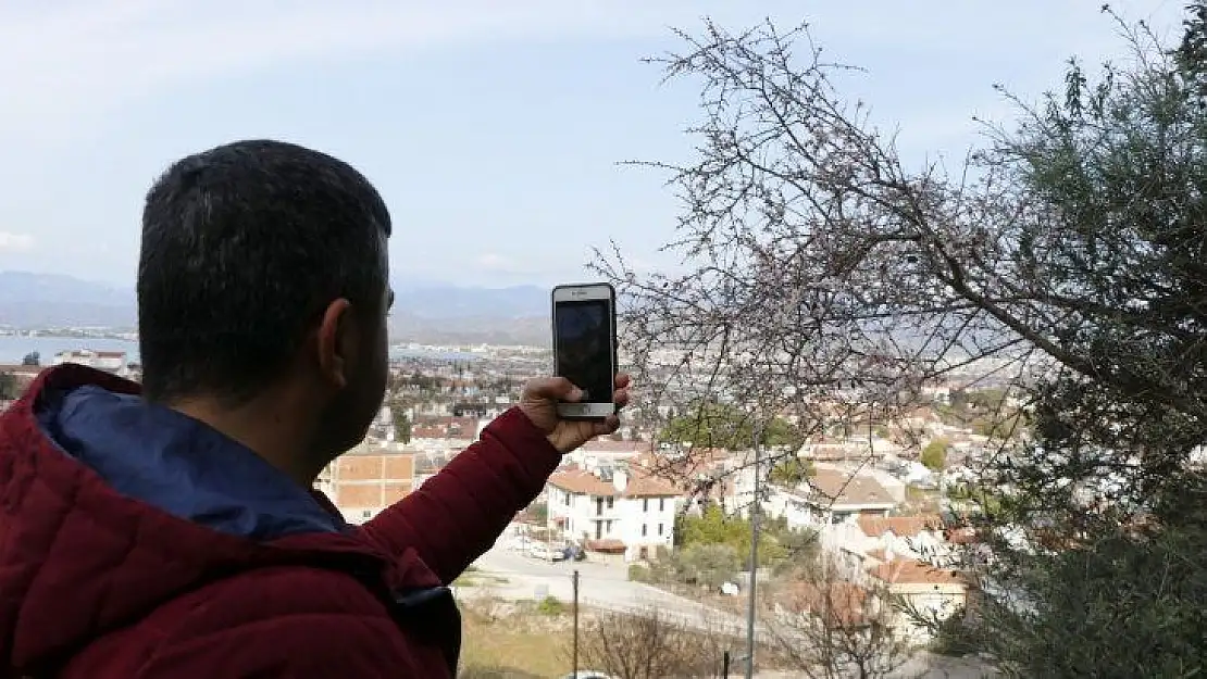 Fethiye'de bademler çiçek açtı