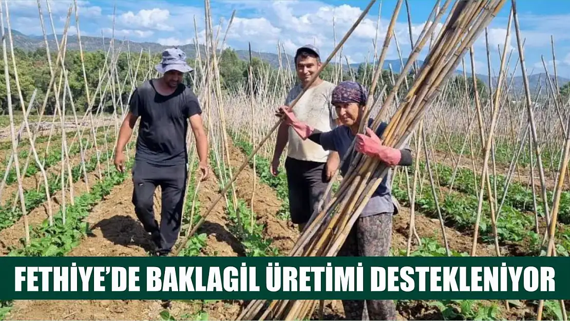 Fethiye'de baklagil üretimi destekleniyor