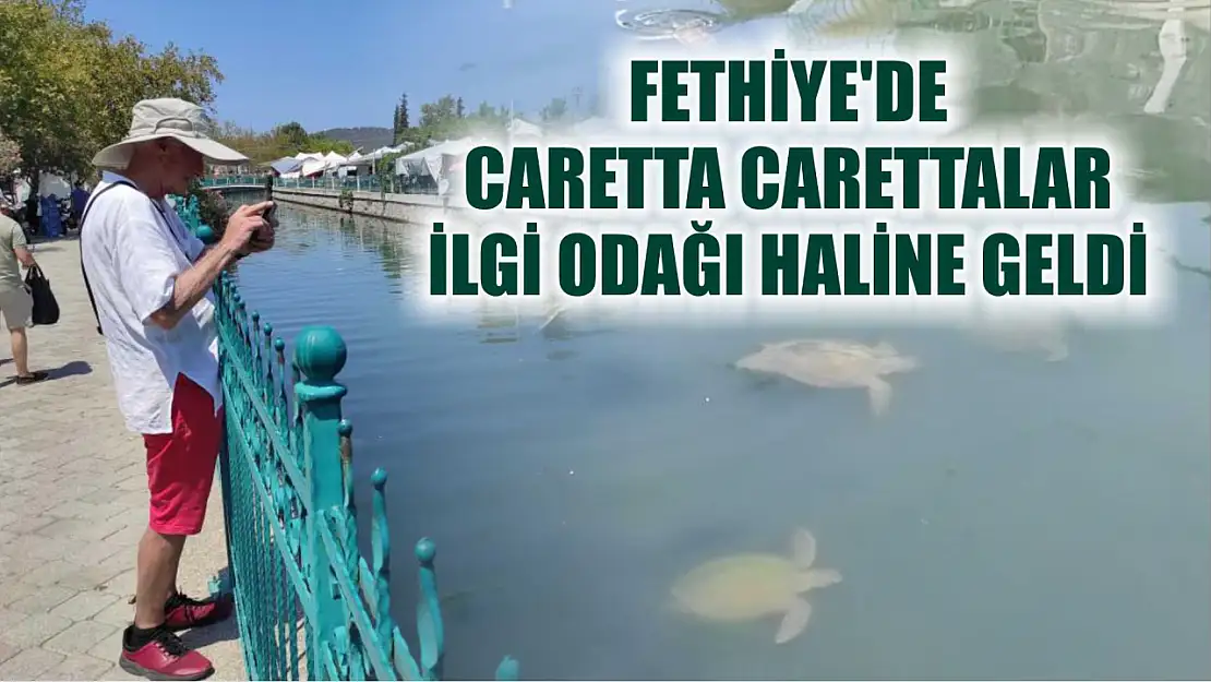 Fethiye'de Caretta Carettalar ilgi odağı haline geldi