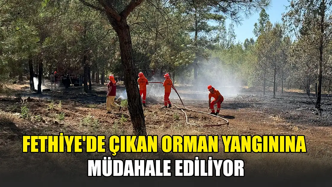 Fethiye'de çıkan orman yangınına müdahale ediliyor