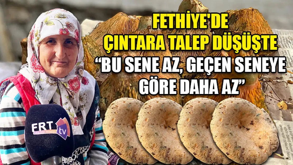 Fethiye'de Çıntara Talep Düşüşte 'Bu Sene Az, Geçen Seneye Göre Daha Az'