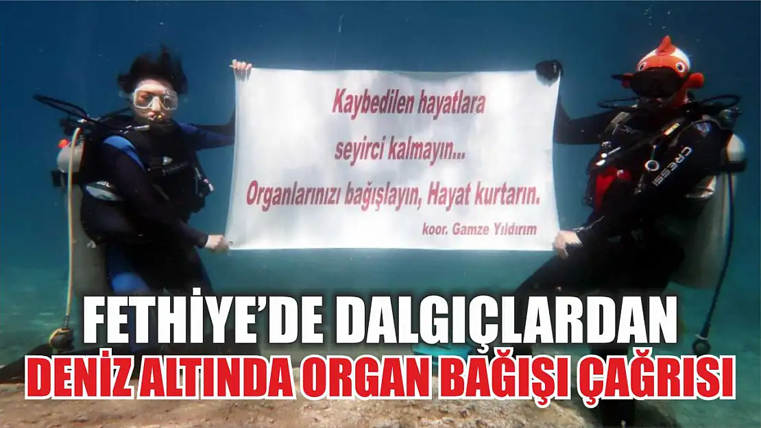 Fethiye'de dalgıçlardan deniz altında organ bağışı çağrısı