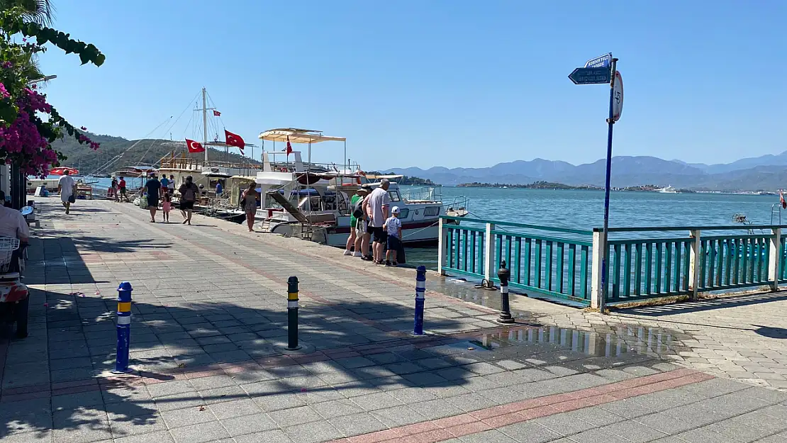 Fethiye'de Deniz Kaplumbağaları İlgi Çekti