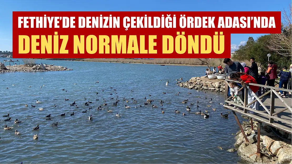 Fethiye'de denizin çekildiği Ördek Adası'nda deniz normale döndü