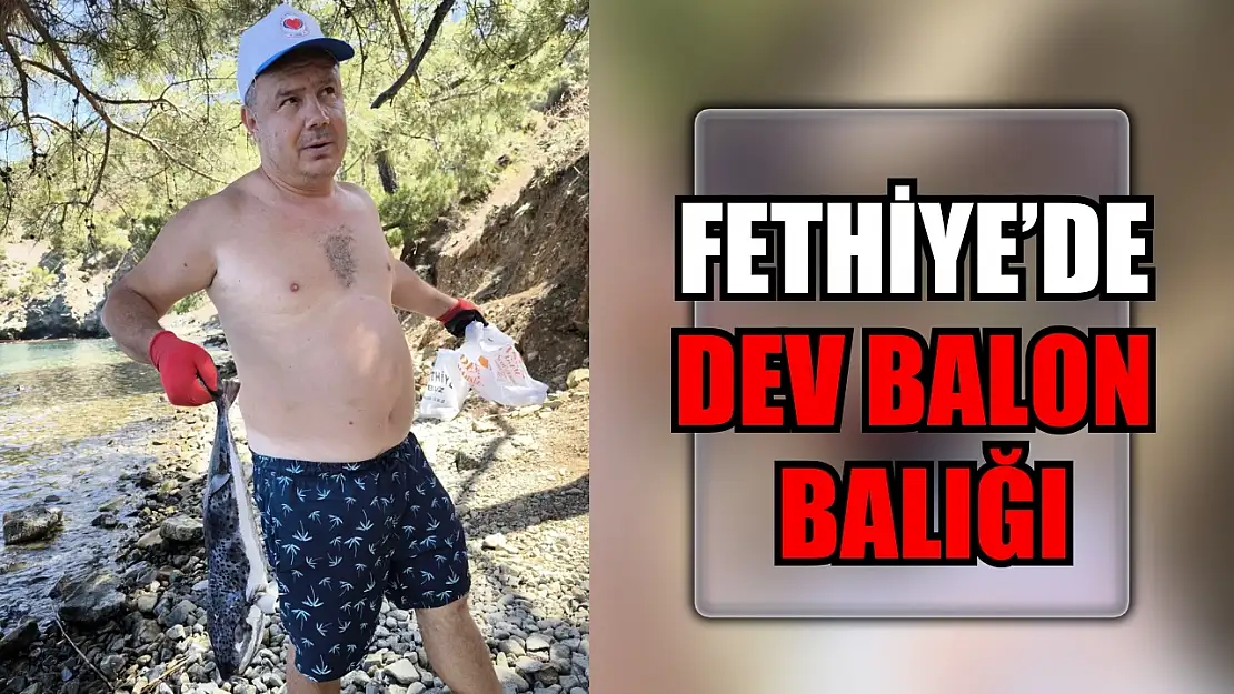 Fethiye'de Dev Balon Balığı